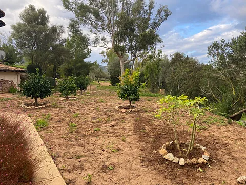 Jardín en Mallorca